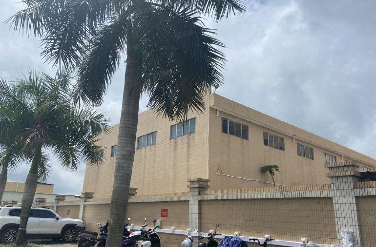 园洲镇原房东工业园区砖墙到顶滴水12米带5吨行车6000平