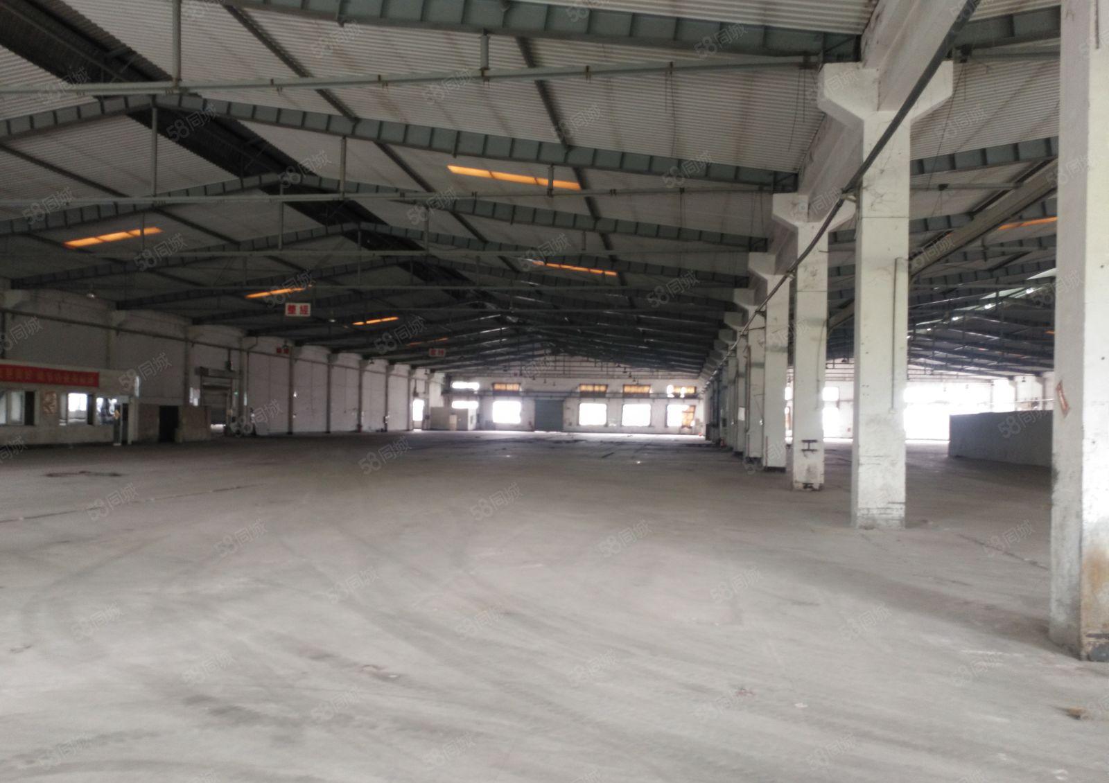 园洲镇红本双证独院厂房出租4900方，可分租，豪华装修办公室