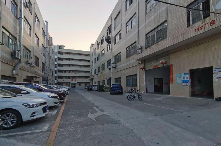 无基本电费园洲镇2600平精致小独院厂房出租滴水7米电到车间