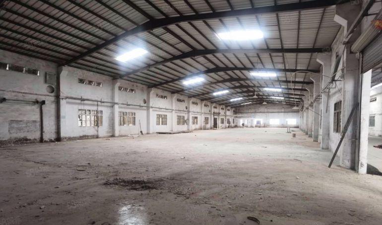 园洲镇九潭原房东砖墙到顶单一层4800平厂房出租