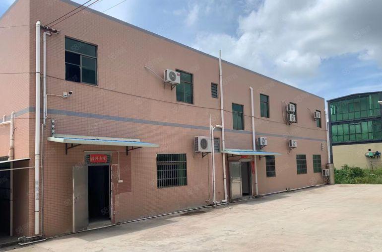 园洲独院厂房仓库低价出租3500平方，现成装修，可办环评