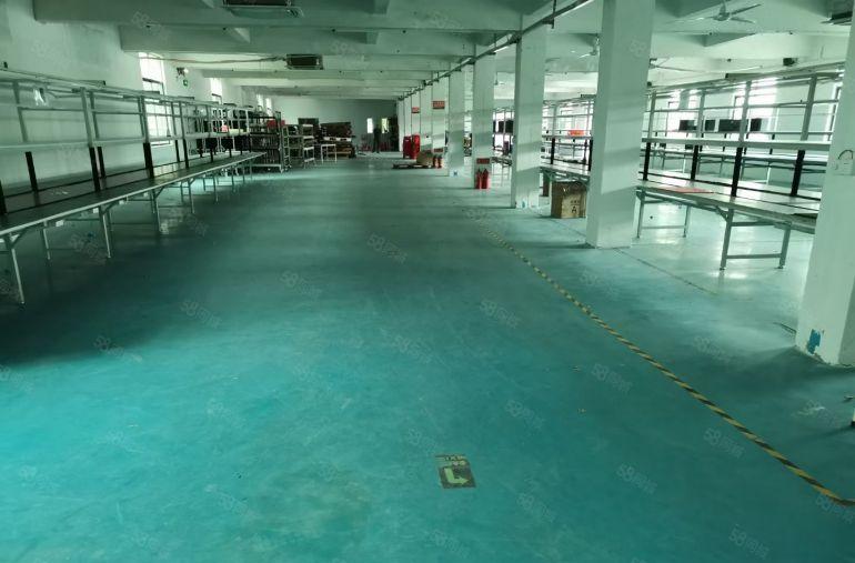 独门独院超大空地！博罗罗阳原房东独院标准厂房6900平低价租