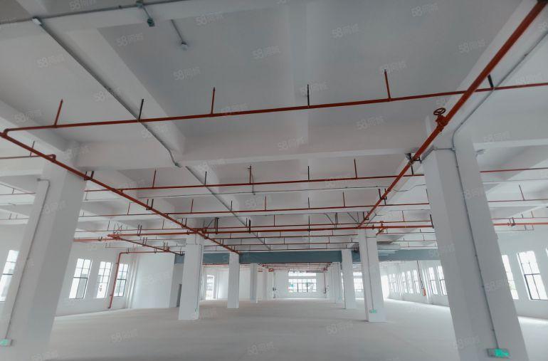 原房东独院厂房20000平方，1000平方起租，低价出租。