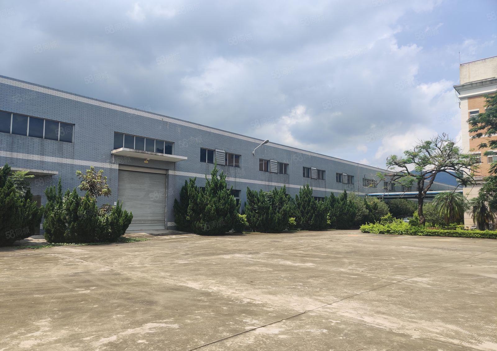 原房东10元起4万平大小分租柏塘杨村钢构高标仓仓库厂房出租