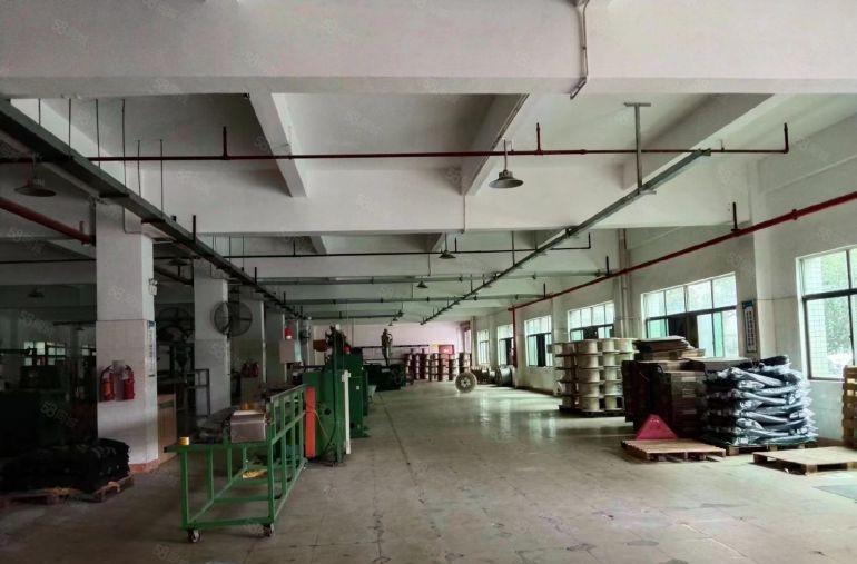 园洲镇原房东标准楼房出租5000平米，宿舍800平米