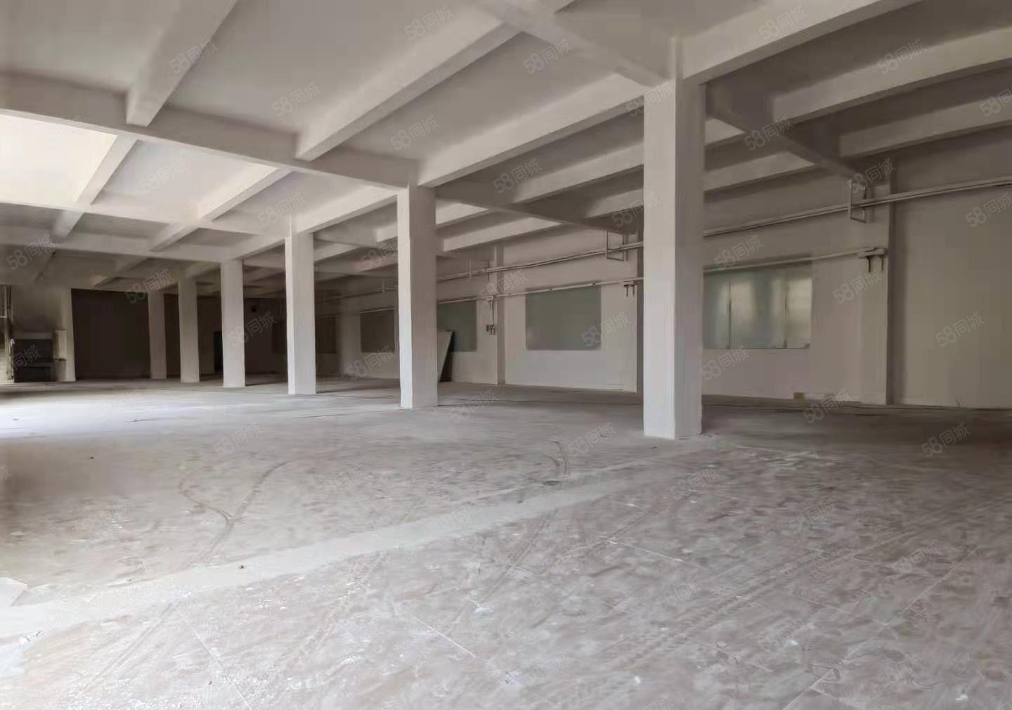 博罗厂房出租 独门独院村委厂房，招工易生活便利可分租