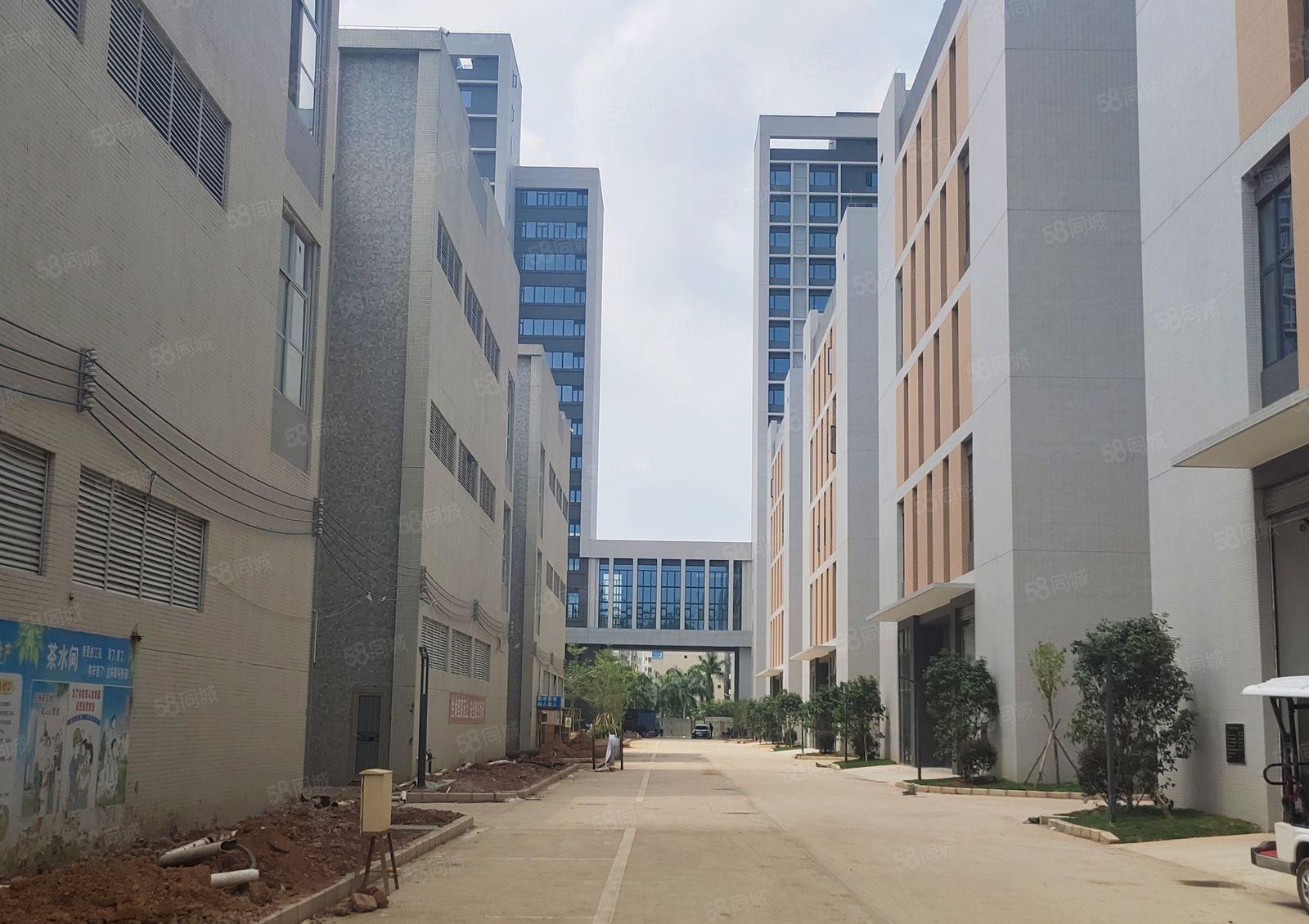 园洲高新产业园花园式全新重工业红本双证厂房政府扶持项目