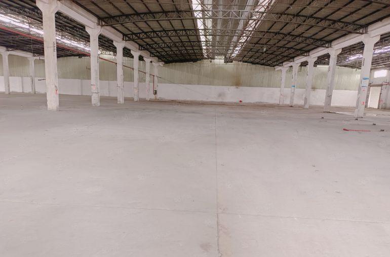 石湾原房东独院厂房底价出租6500平方，空地超大，可办环评