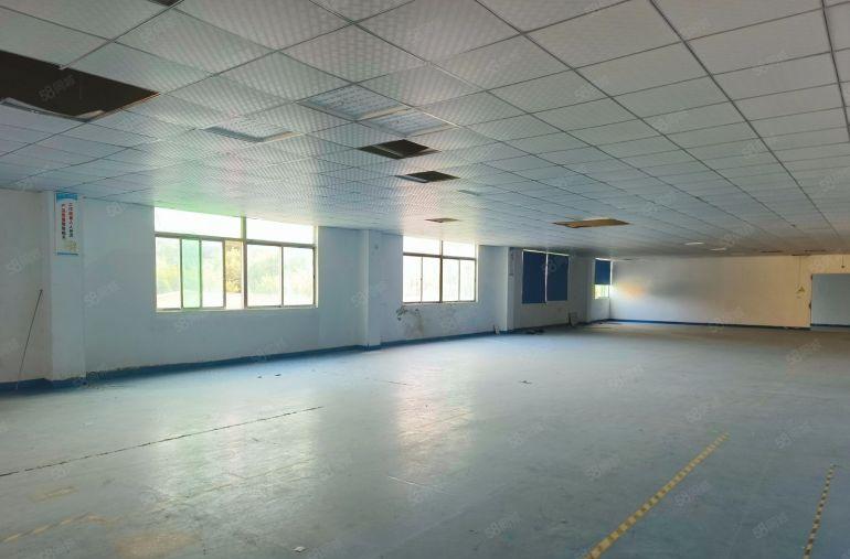 特价惠州园洲原房东独院豪华精装修3000平厂房空地超大出租