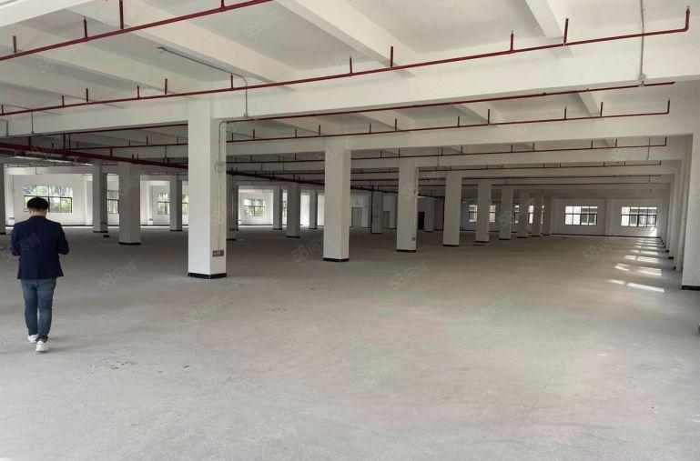 石湾镇全新标准独院厂房出租面积6400平方