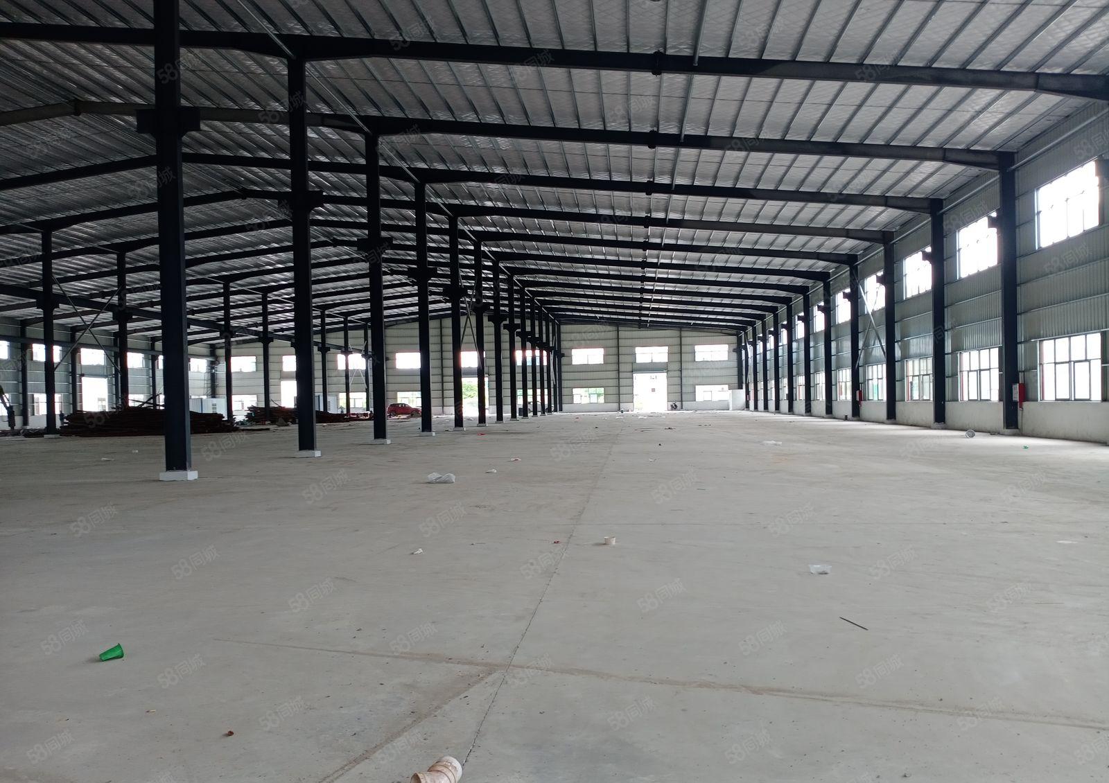 园洲镇 独院单一层钢构厂房6200平方出租，宿舍办公配套齐全