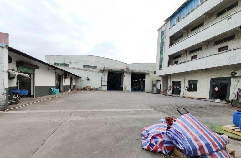 园洲原房东独门独院砖墙到顶厂房3800平，空地500平