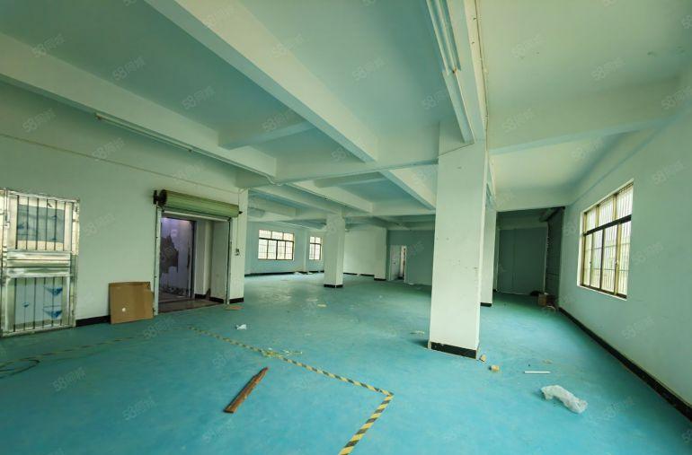 园洲新出原房东标准楼1080，有货梯