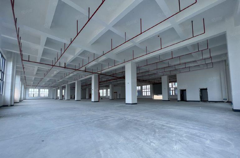 原房东工业园区红本独门独院标准厂房