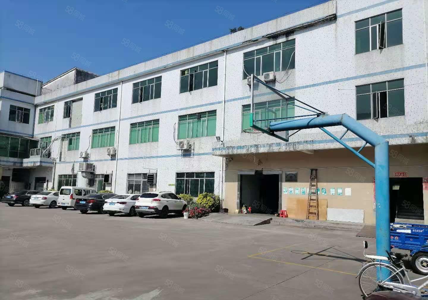 博罗石湾里波水5000方独门独院红本厂房出租可办环评原房东