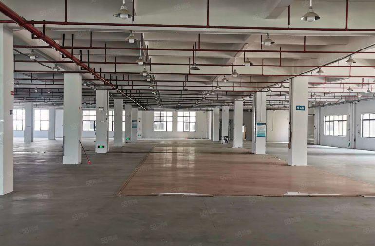 惠州市博罗县龙溪镇小蓬岗现成抽粒塑胶注塑环评厂房10万方招租