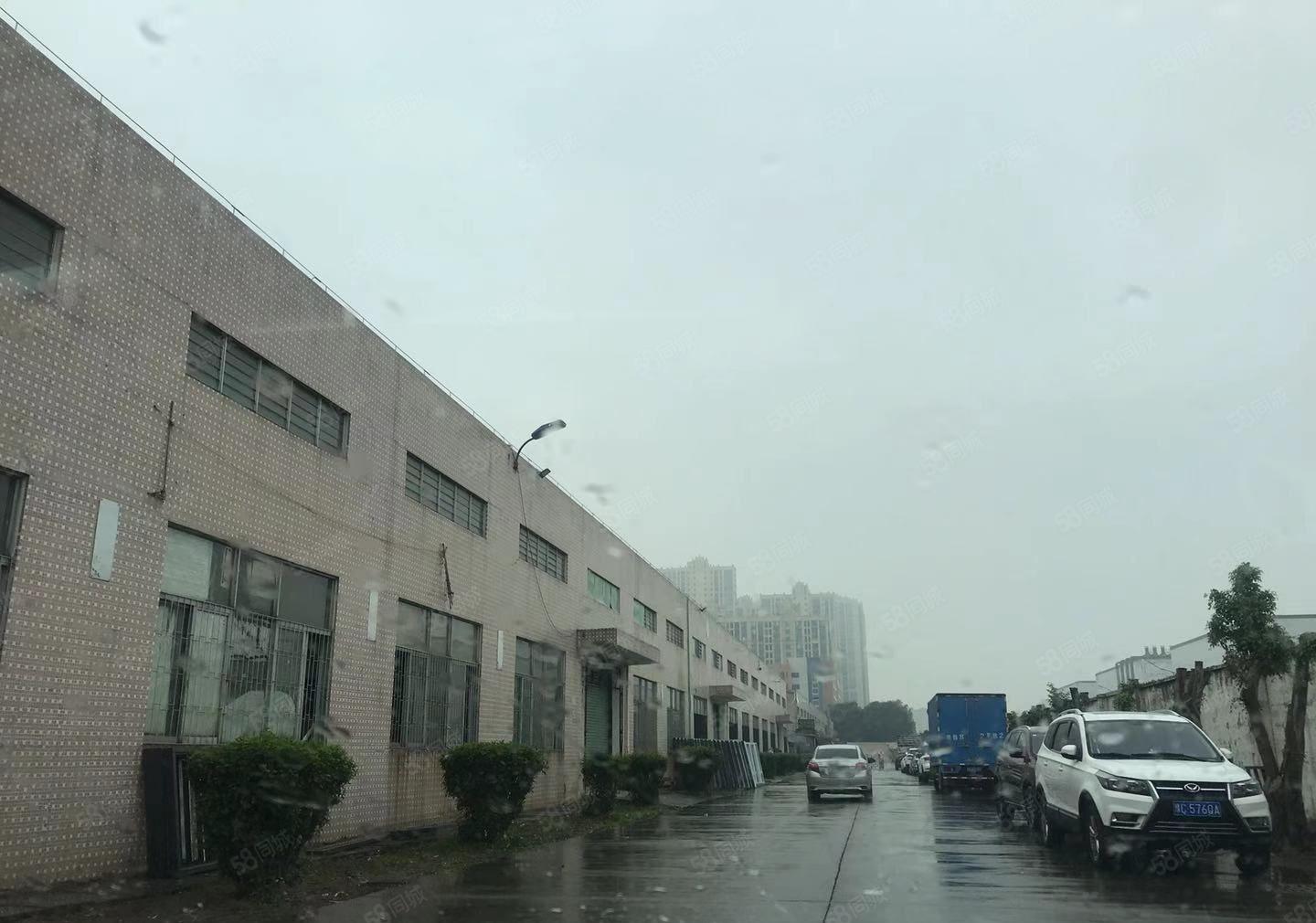 惠州市博罗县龙溪镇独门独院单一层1750仓库厂房出租