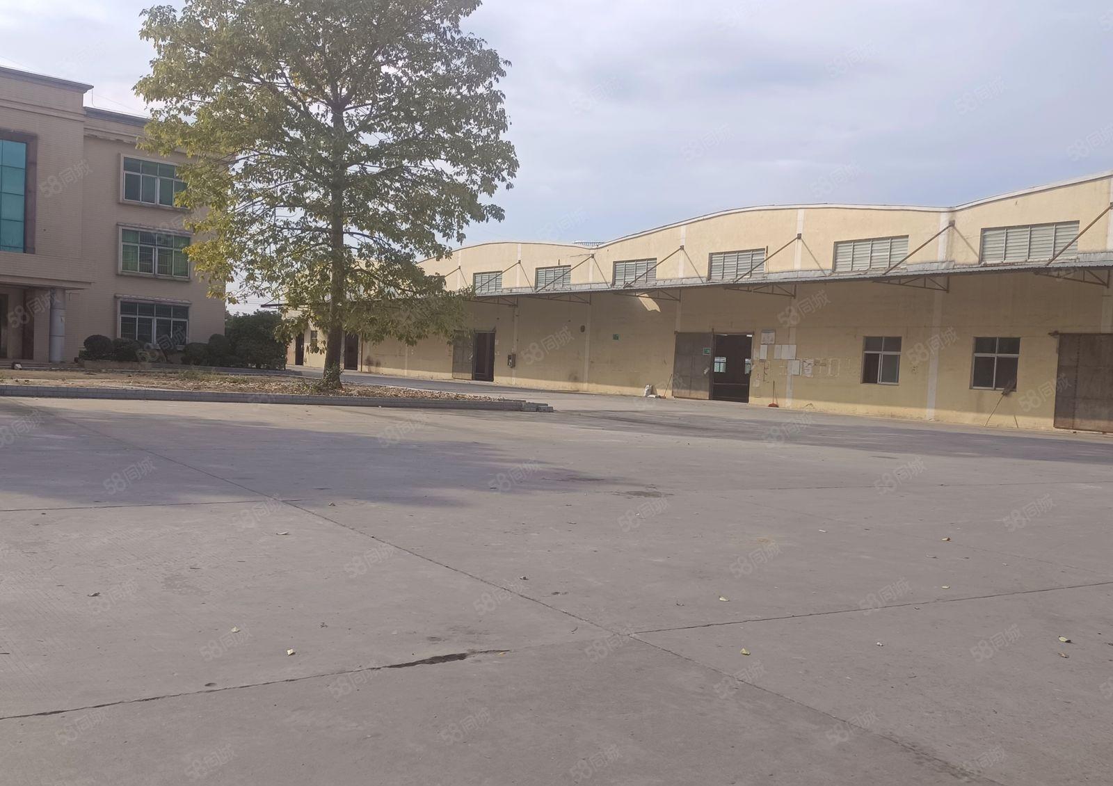 超实用厂房！独院钢构6750方，办公宿舍1600方空地大方正