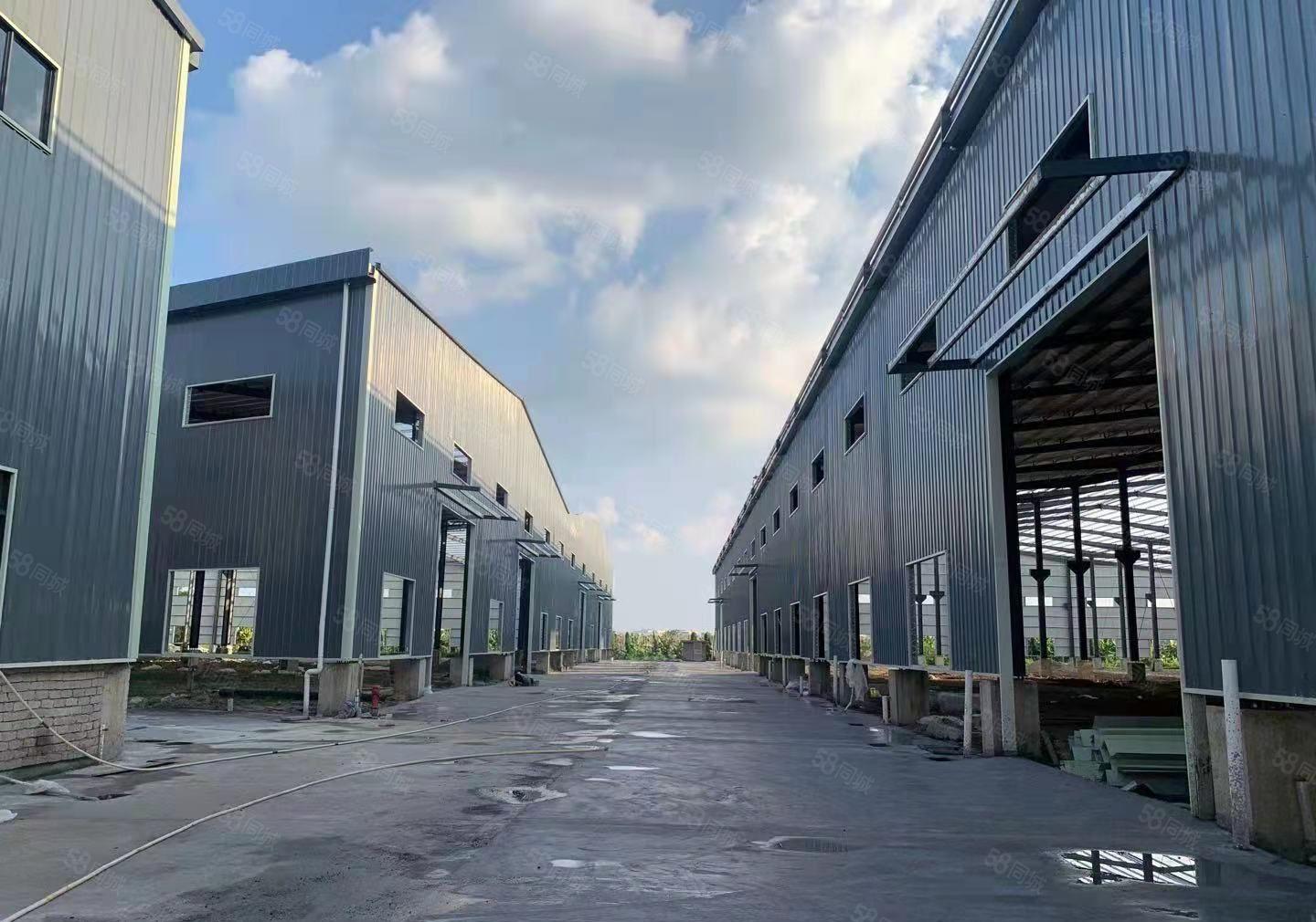 园洲全新滴水10米单一层厂房出租，共48600平方，证件齐全