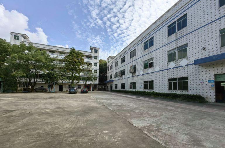 石湾原房东5000平独门独院厂房办公室仓库低价出租超大空地