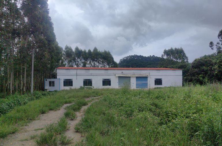 厂房出租 独门独院700平天大空地 周边无居民区