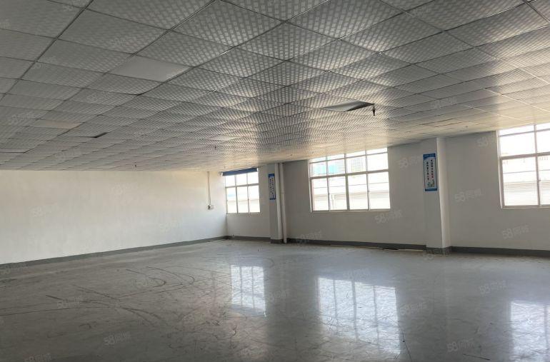 园洲新出高大上2000平标准厂房 精装办公室 可办环评大空地