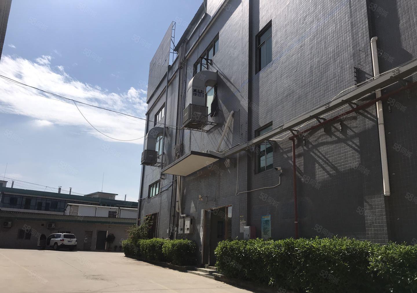 罗阳镇原房东独院厂房出租