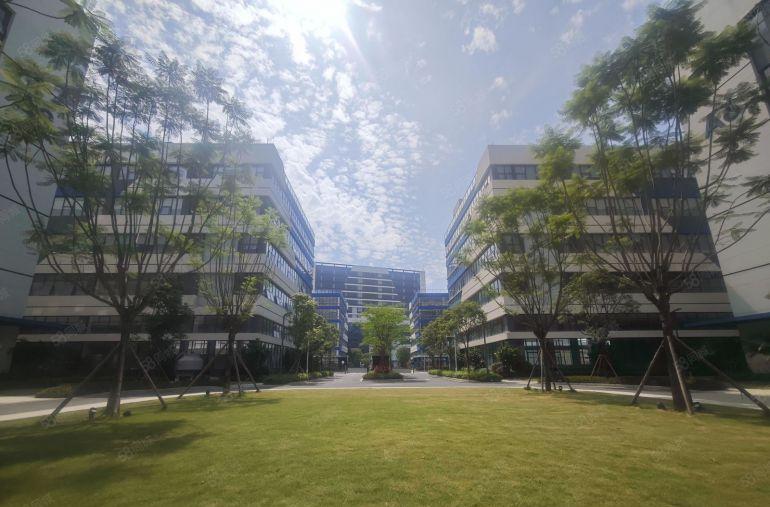 8元带装修 博罗园洲上南工业区二楼实际面积2000平