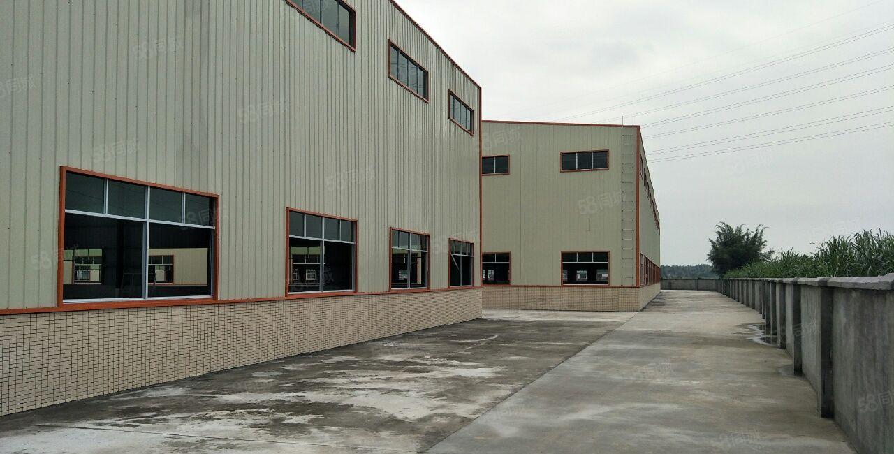 石湾镇单一层钢构厂房出租层高9米