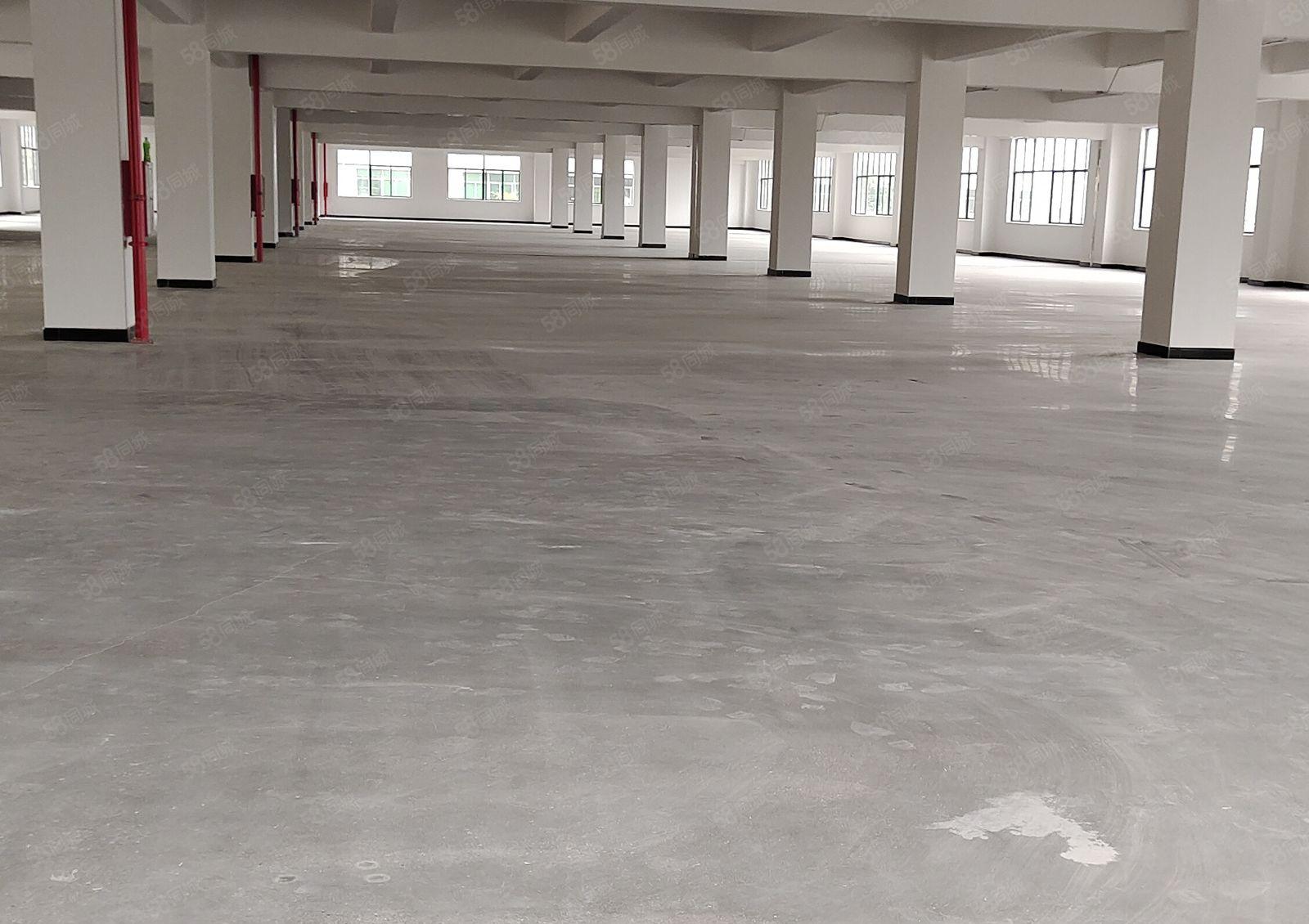 石湾镇全新原房东厂房出租