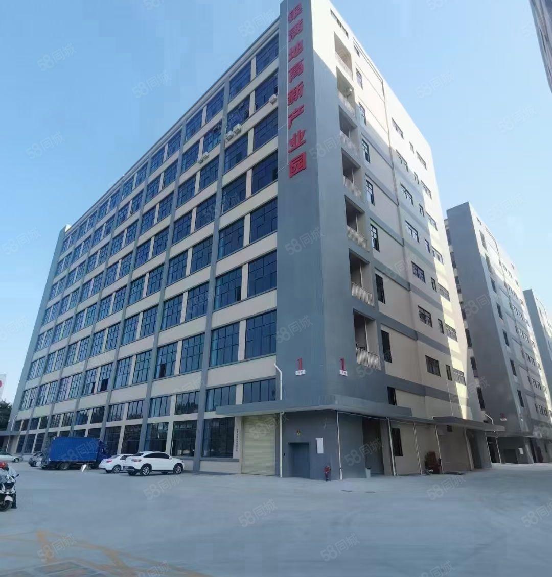 博罗石湾工业厂房原房东直租