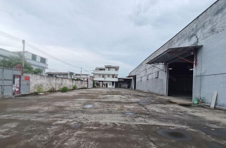 8块博罗独门独院钢结构厂房3600平出租滴水8米空地大可分租