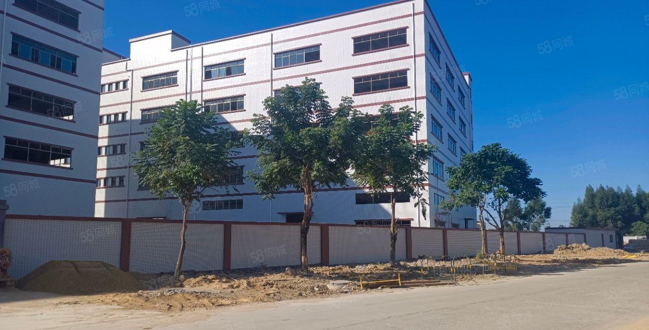 自建厂房！石湾全新独院标准一楼7米带牛角，格局方正，不限行业