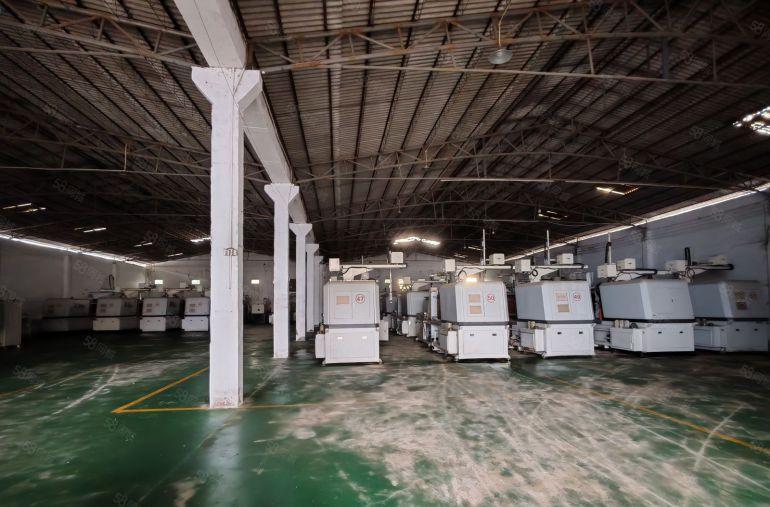 园洲镇独院原房东单一层厂房2300平米，宿舍500平米出租