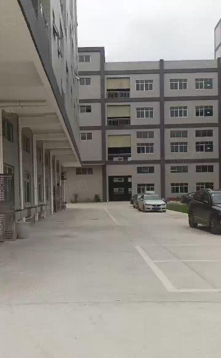 园洲洗水排水漂染印刷印染厂房出租10000平方，大小可以分租