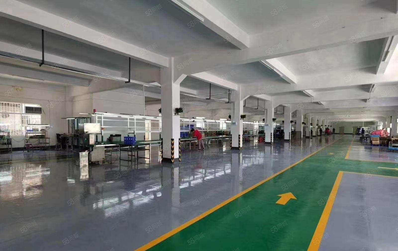 福田超靓标准厂房证件齐全1000平方分租食堂仓库齐全现成装修