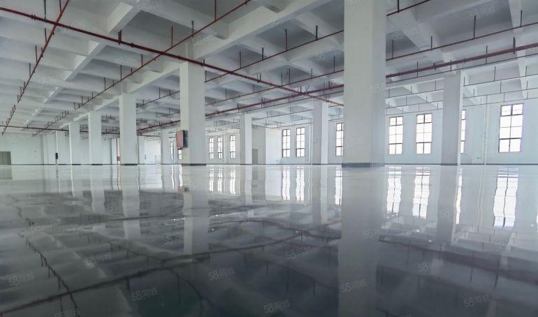 博罗园洲原房东全新花园式标准厂房出租10块钱离高速路口一公里