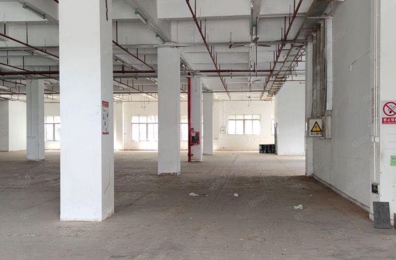 原房东厂房价格超便宜滴水8米靠主干道空地大交通便利证件齐全