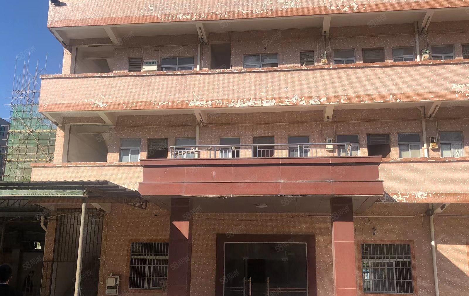 园洲新出原房东独门独院单一层厂房5800平方宿舍1200平方