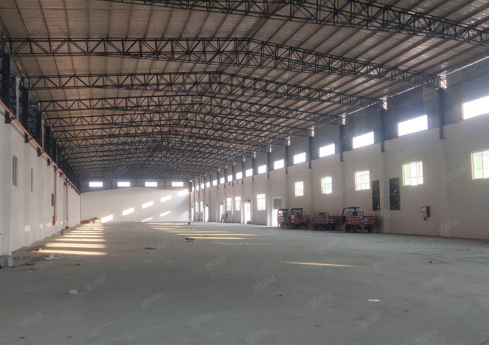 园洲镇原房东独院标准单一层钢构仓库厂房出租