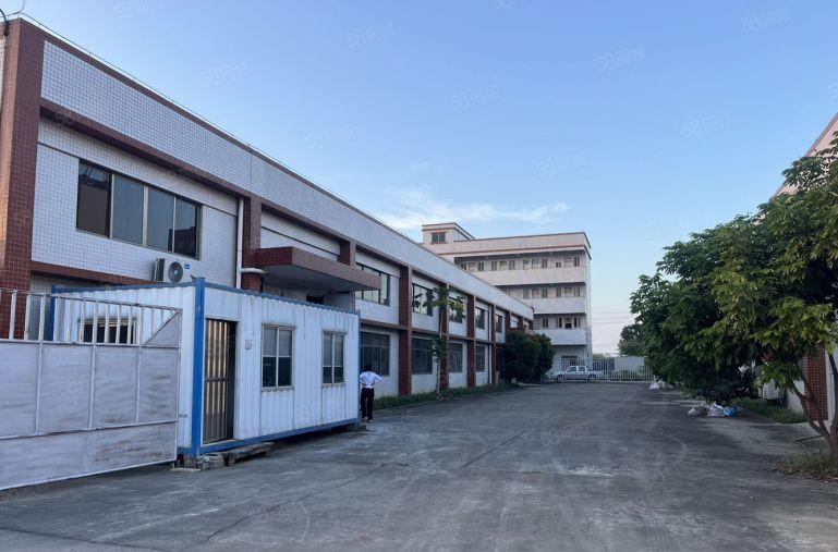 园洲新出一楼3000平钢构厂房出租滴水8米空地很大主干道边上