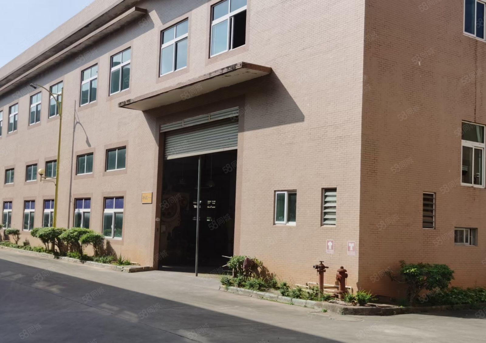 博罗园洲花园式厂房招租