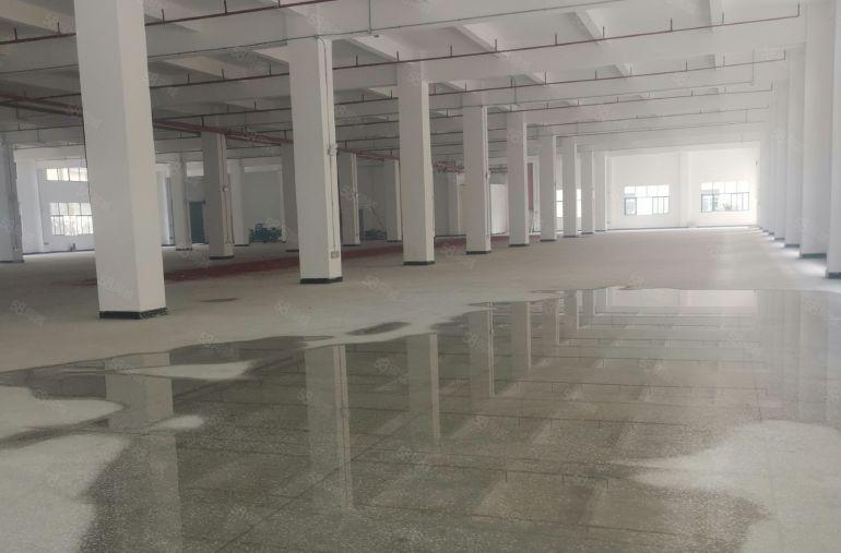 19000平方米全新红本重工业厂房出租，首层高度七米