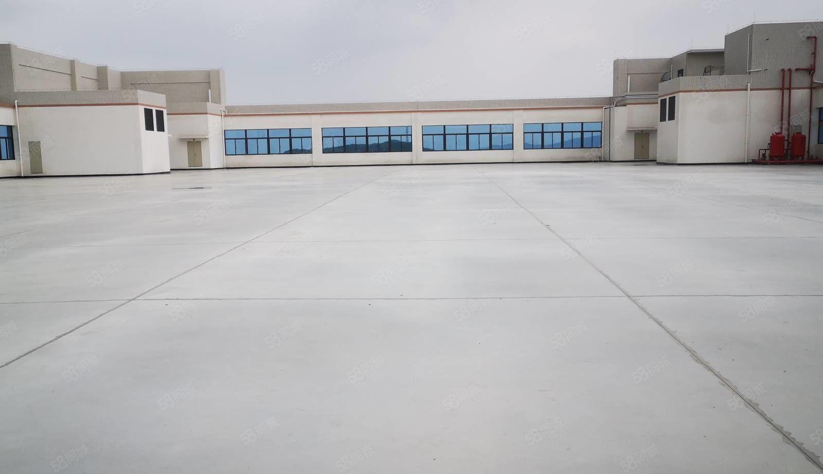 原房东全新厂房仓库6000平米 可分租