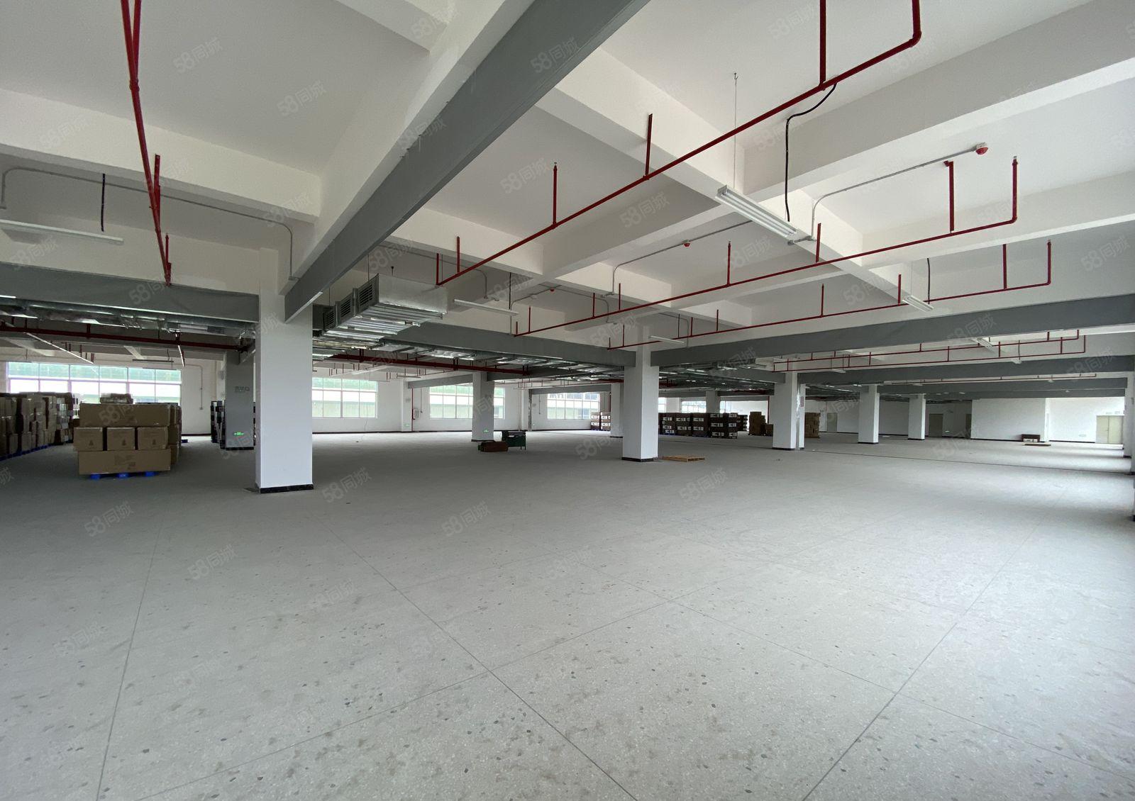 独院低价厂房出租，可办环评