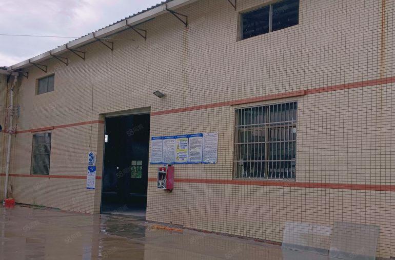 博罗县园洲原房东独院厂房出租砖墙到顶滴水8米1300平方独院