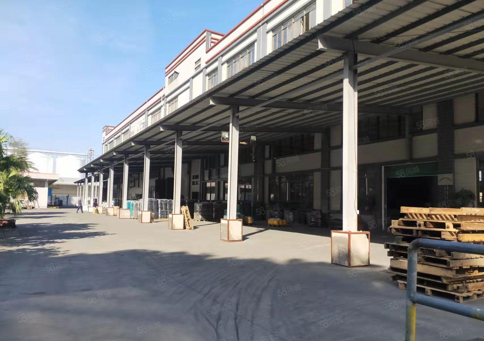 罗阳镇原房东标准楼房加砖墙钢构单一层招租42580平方无公摊