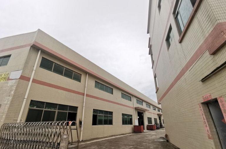 石湾砖墙到顶单一层独院厂房出租面积3000平方便宜出租