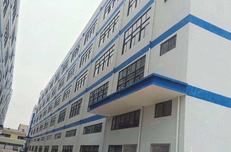 园洲镇原房东独门独院标准厂房出租，国土证红本厂房，实际面积租