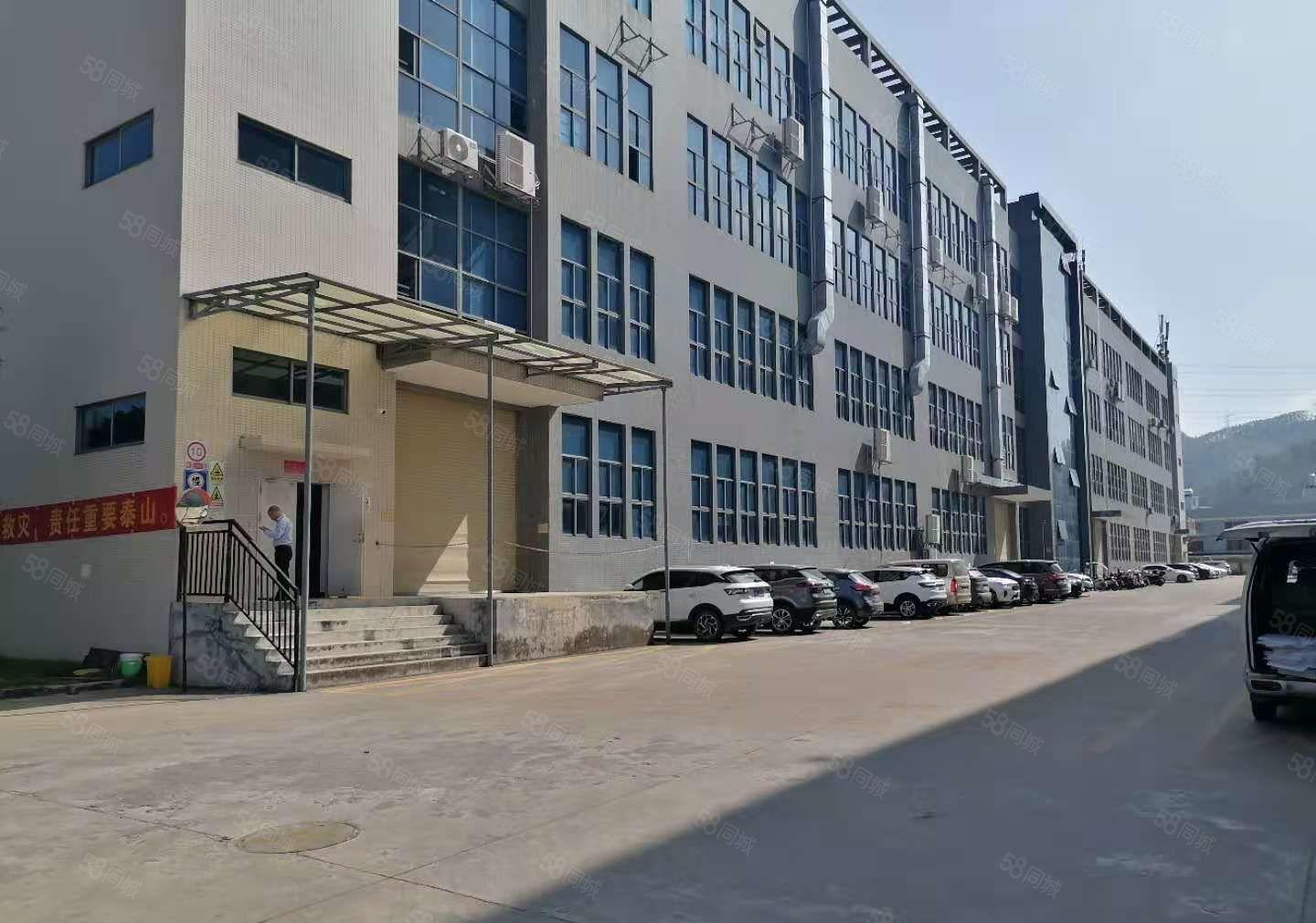 博罗园洲田头工业区精装修楼上红本厂房出租大货梯无公摊原房东